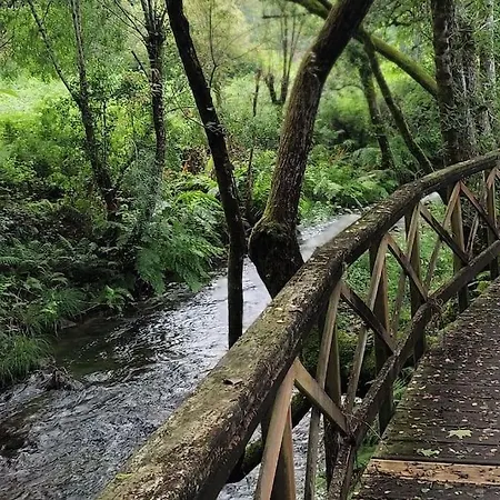 Tranquilidad Y Naturaleza Apartamento Mondariz-Balneario